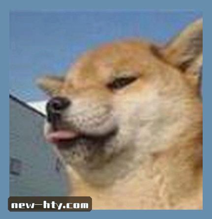 黄强